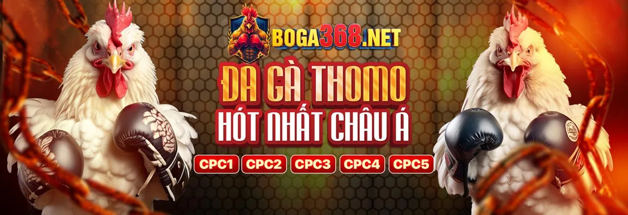 Tải ứng dụng 188bet 250 bắn cá ngay